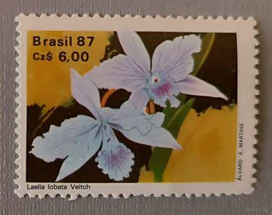 Орхидеи. Бразилия