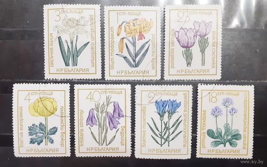 Болгария. Флора. Цветы (1302)