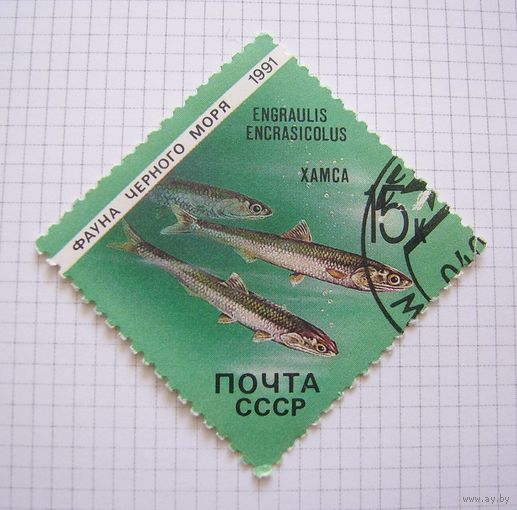 СССP 1991г.
