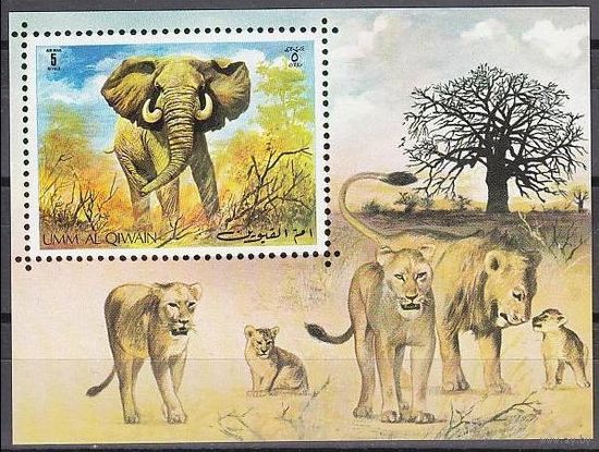 1971 Умм Аль Кивайн 482/B34 Слон - Кошки 4,50 евро