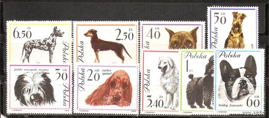 ФФ1 Польша 1963 Собаки