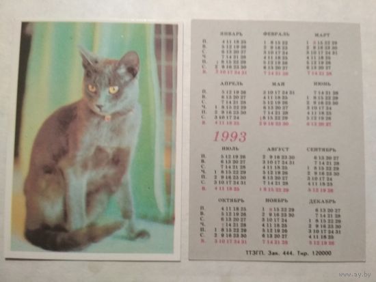Карманный календарик. Котик. 1993 год