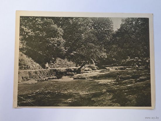 Река Ольховка в парке. Кисловодск. Чистая. Почтовая карточка 1920е - 1930е годы.Общий вид.