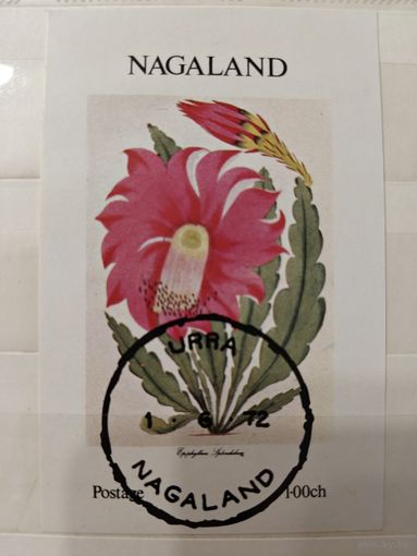 РАСПРОДАЖА КОЛЛЕКЦИИ. Нагалэнд, блок "цветы"