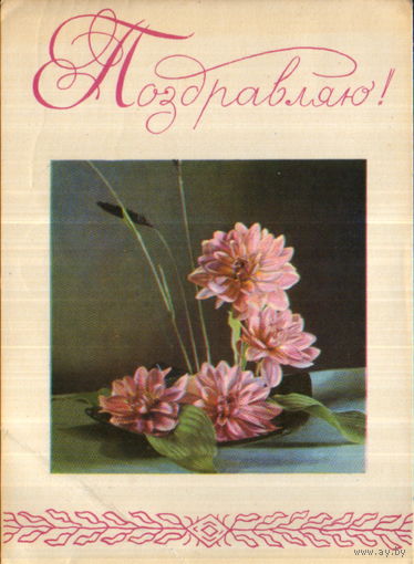 Подписанная открытка 1968г. БССР "Поздравляю! Композиция из цветов" худ. В. Пастушков, фото А. и М. Ананьиных