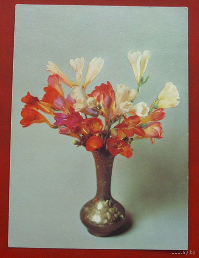 Букет. Чистая. 1984 года. Фото Савалова. 442.