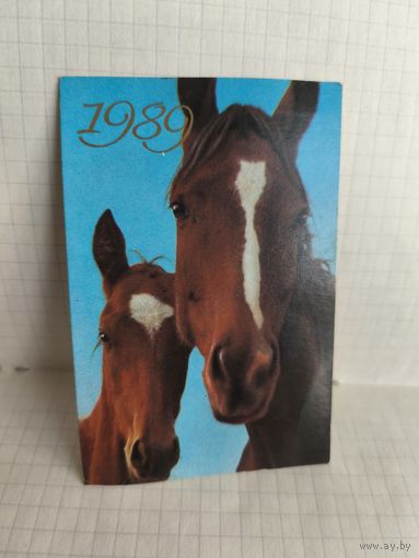 Календарик, 1989г. Лошади. 14