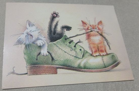 Посткроссинг. Открытка Котики в ботинке, худ.Юлия Корякина (10х15). Прошла почту. Художественные марки, чёткий штемпель.