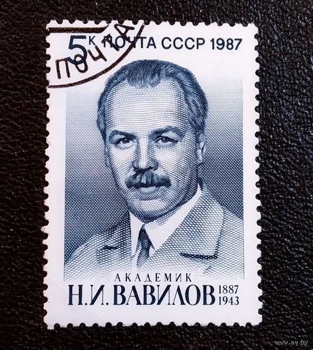 Марка СССР 1987 год Н.И.Вавилов