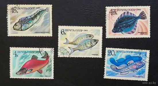 СССР 1983 г. Промысловые рыбы. Морская фауна, полная серия из 5 марок #0070-Ф2P12