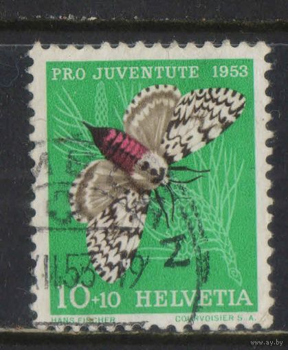 Швейцария 1953 В пользу фонда поддержки прав и потребностей швейцарских детей и молодежи Шелкопряд-монашенка #589