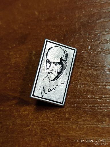 Знак значок Райнис