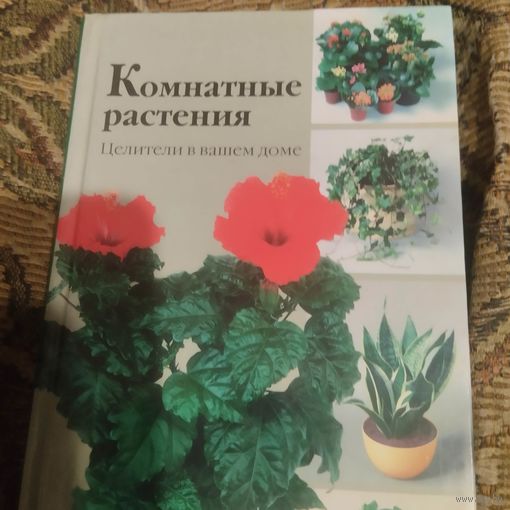 Комнатные растения.  Целители в вашем доме.