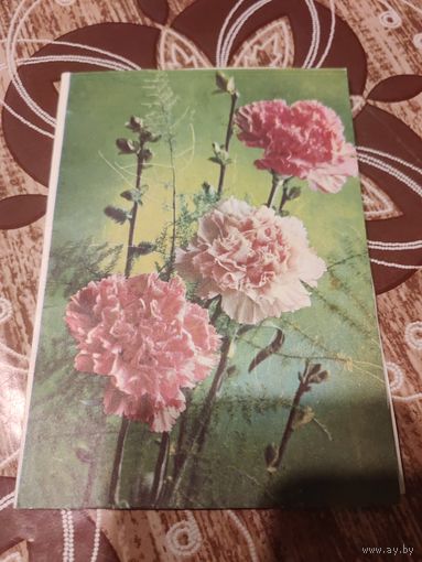 Открытка,телеграмма,подписана