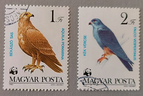 Птицы. Венгрия, 1983г