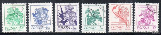 Польша 1974. Цветы. Стандарты. Полная серия