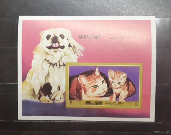 Ум-эль-Кувайн. Фауна. Собаки и кошки (блок, без перфорации) (1183)