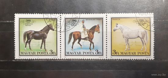 Венгрия. 1989 год. Лошади. Фауна (1211)