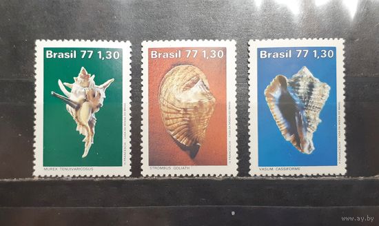 Бразилия. Фауна. Ракушки (1339)