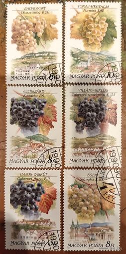 Венгрия 1990. Флора. Сорта винограда. Полная серия