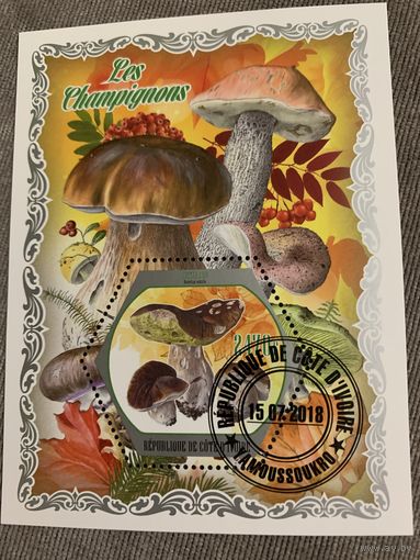 Кот Ди Вуар 2018. Грибы. Боровики. Блок