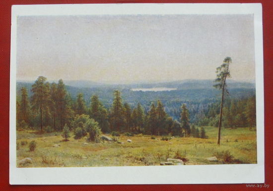 Шишкин. Лесные дали. Чистая. 1959 года. 1990.