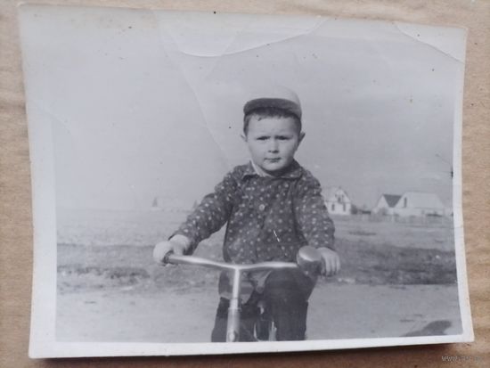 Фото в коллекцию