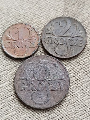 Распродажа - 1 грош 1925г.,2 гроша 1923г,5 грошей 1923г.,Польша