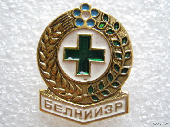 БЕЛНИИЗР
