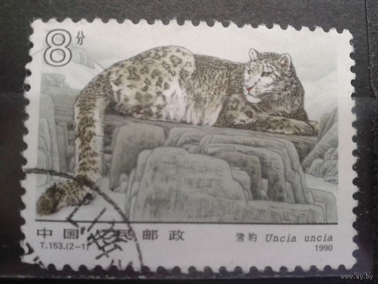 Китай, 1990. Снежный барс
