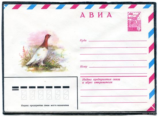 СССР 1981. ХМК. Конверт Авиа. Тундреная куропатка