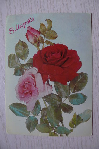 Дергилев И., 8 Марта; 1987, подписана.