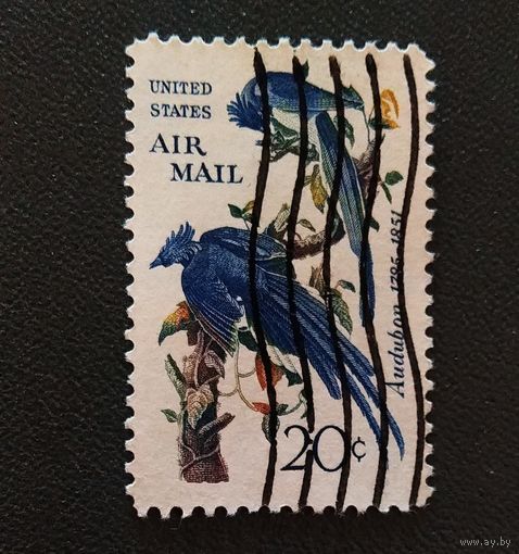 Марка США 1963 год Птицы Рисунок Джеймса Одулена