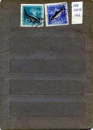 СССР, 1959,  ЦЕННЫЕ ПРОМСЛОВЫЕ РЫБА,  серия   2м  гашеная