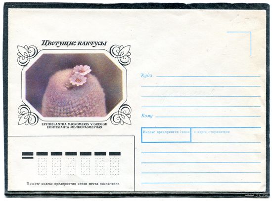 СССР 1990 (1983). Немаркированный конверт. Кактус Епителанта
