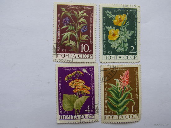 Лекарственные растения.