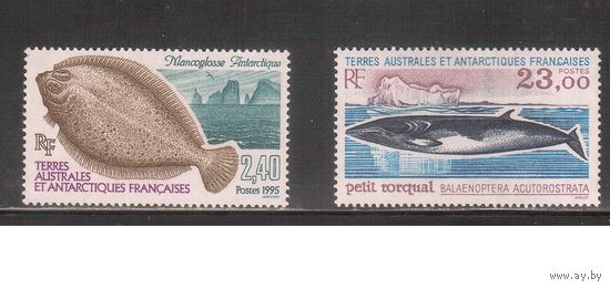 Французские Антарктические Территории-1995(Мих.331-332) , ** , Морская Фауна,(полная серия)