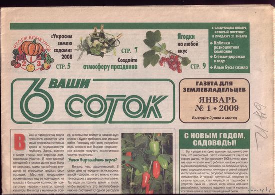 6 соток 1-2009