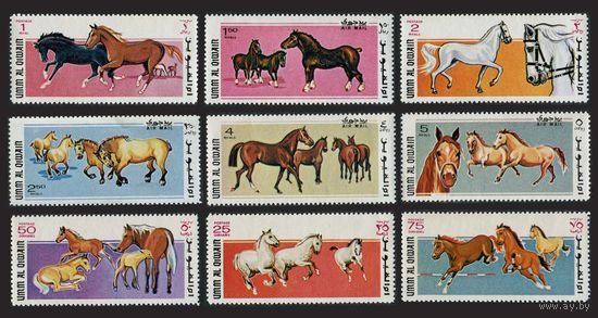 Умм-эль-Кайвайн. 1969. Фауна. Лошади