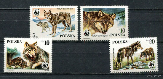 Польша - 1985 - Волки - [Mi. 2975-2978] - полная серия - 4 марки. MNH.  (Лот 88Gx)-T4P27