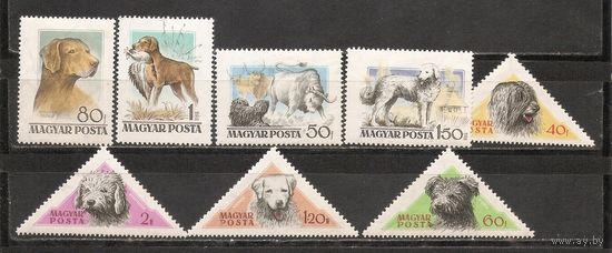 ФФ1 Венгрия 1956 Собаки