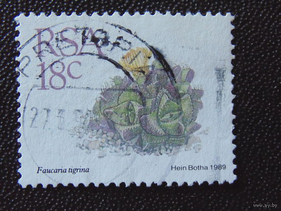 Южная Африка 1989 г. Цветы.