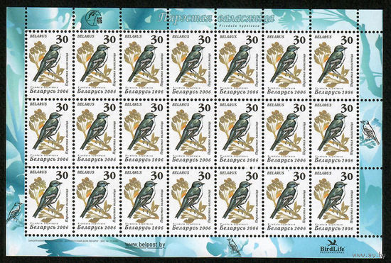Беларусь. 2006. Стандарт. Мухоловка - пеструшка 30р (з.71-2006) Лист 3х7