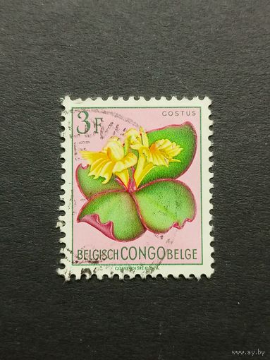 Конго 1952-1953. Цветы