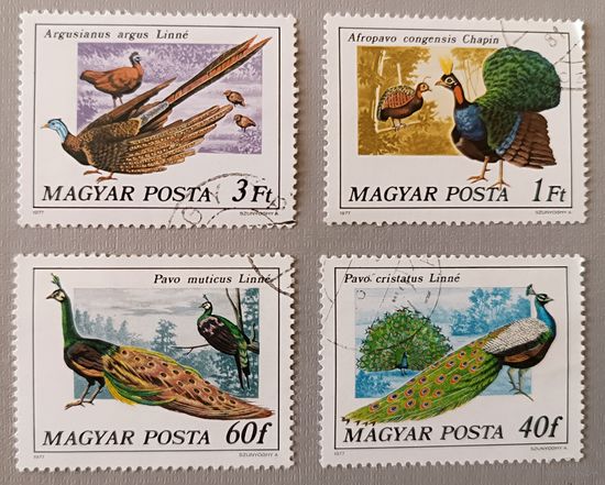 Павлины. Венгрия,1977