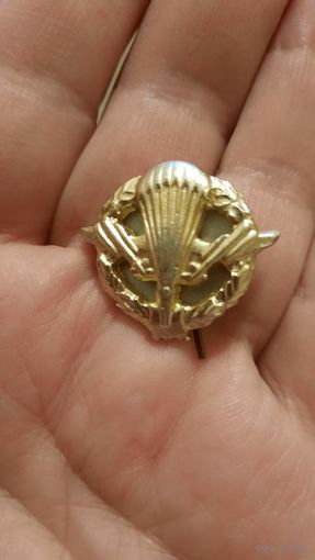 Знак ВДВ большой (может с берета?)