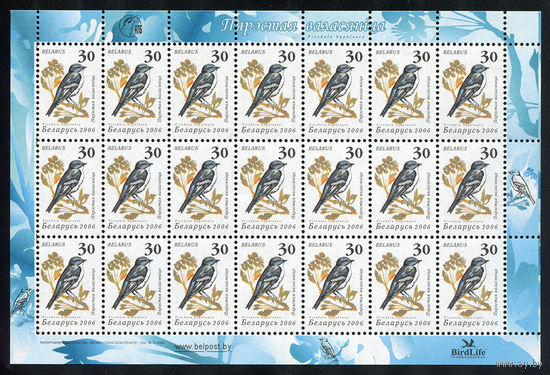 2006_30. Стандартный выпуск.