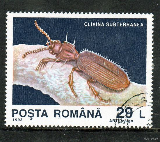 Румыния.Ми-4942.Жук-грунт (Clivina subterranea) Серия: Животные из подвижной пещеры.1993.