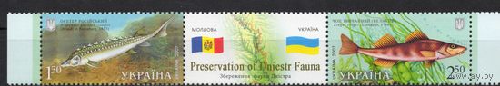 Украина 2007. Фауна Днестра.Рыбы. Совместный выпуск Украина-Молдова 2марки (451)