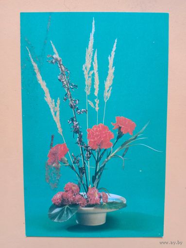 Открытка 1983